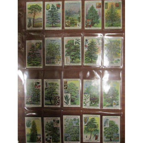 23 - Gallaher. Complete set in plastic sleeves with Woodland Trees Series, generally good. Cat. £500. (Se... 