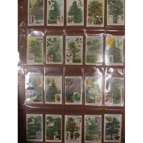 23 - Gallaher. Complete set in plastic sleeves with Woodland Trees Series, generally good. Cat. £500. (Se... 