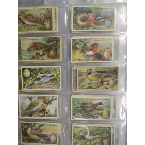 1A - Collection in multiple albums with complete sets including C.W.S. Boy Scout Badges, Gallaher Birds N... 