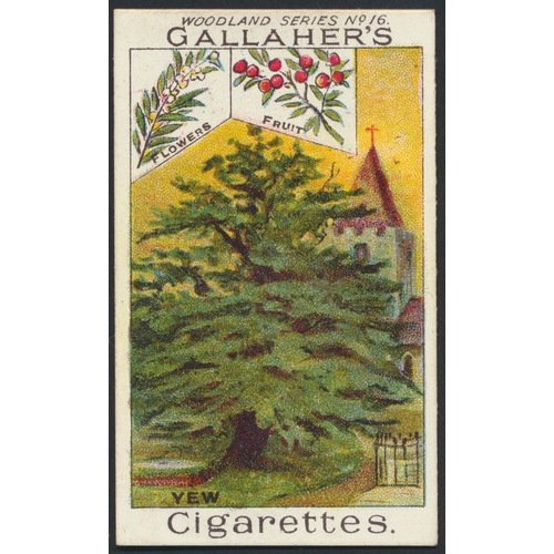 22 - Gallaher. Complete set in plastic sleeves with Woodland Trees Series, generally good. Cat. £500. (Se... 