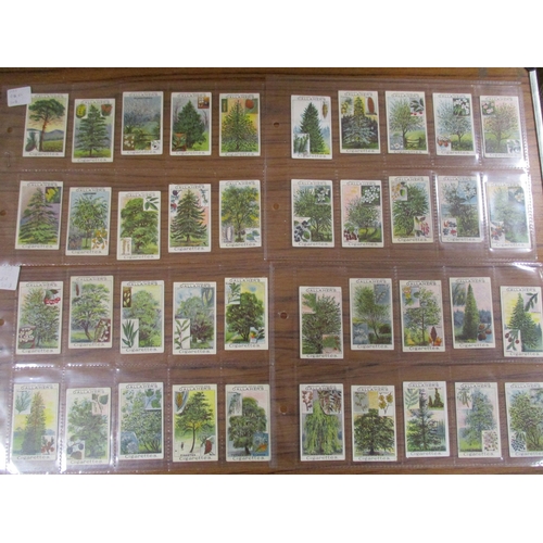 22 - Gallaher. Complete set in plastic sleeves with Woodland Trees Series, generally good. Cat. £500. (Se... 