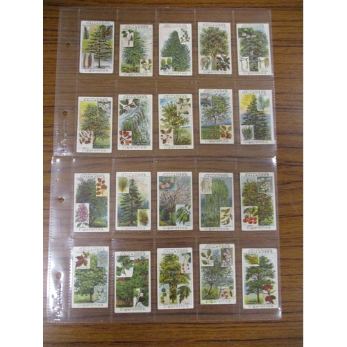 22 - Gallaher. Complete set in plastic sleeves with Woodland Trees Series, generally good. Cat. £500. (Se... 