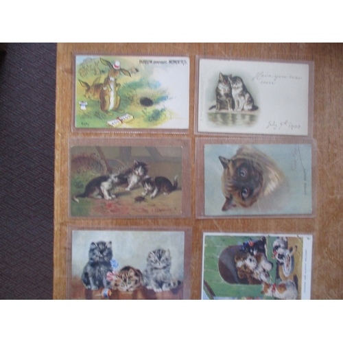 45 - Misc. coln. of subject cards. Animals incl. range of artist drawn cats, general art cards, later avi... 