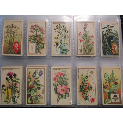 7 - Collection in 4 albums with complete sets including C.W.S Wayside Flowers, Faulkner Angling, Gallahe... 