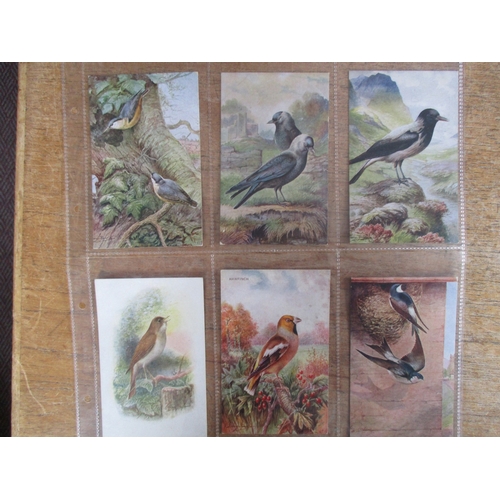 81 - Birds. Coln. in loose sheets and plastic sleeves of artist drawn birds and wildfowl. Tuck pub. incl.... 