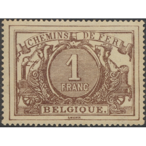 124 - Belgium. Railway Parcels. M/U coln on album leaves, incl 1879-82 vals to 1f grey U, 1882-94 vals to ... 