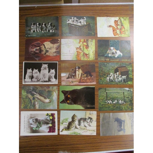 85 - Misc. Coln. in 2 albums and loose with B&W trains (120), animals including Tuck's (11), plus ranges ... 