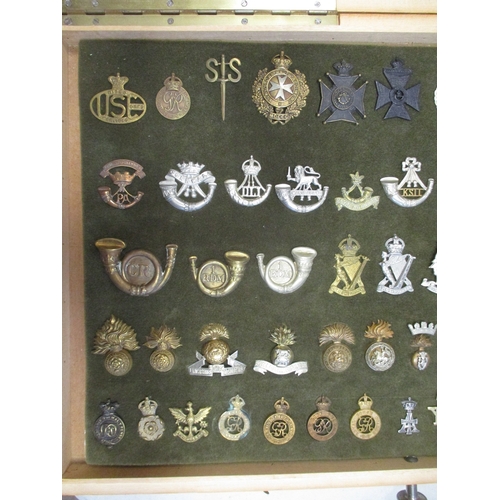 66 - Cap badge collection mounted on foam in home made glass display draw, including Malta Regt, KSLI, DL... 