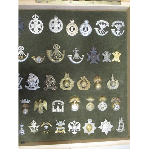 66 - Cap badge collection mounted on foam in home made glass display draw, including Malta Regt, KSLI, DL... 