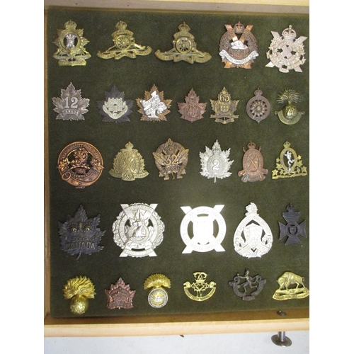 67 - Cap badge collection of Canadian units mounted on foam in home made glass display draw, including in... 