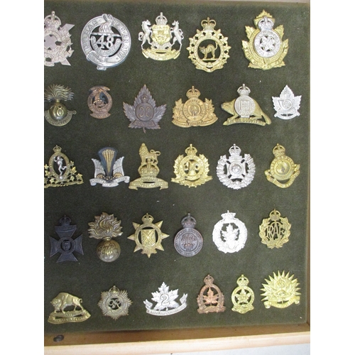 67 - Cap badge collection of Canadian units mounted on foam in home made glass display draw, including in... 