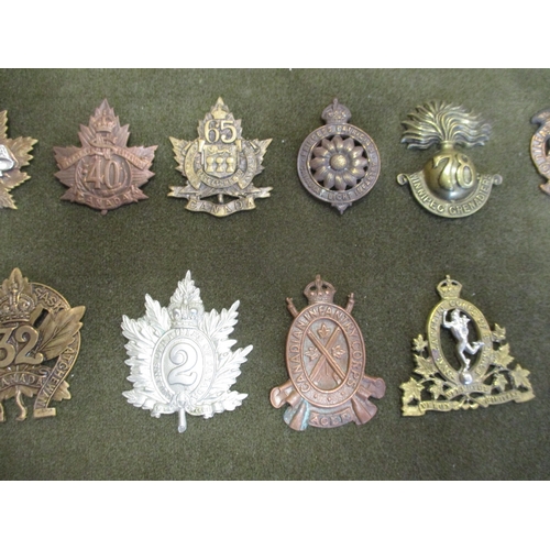 67 - Cap badge collection of Canadian units mounted on foam in home made glass display draw, including in... 