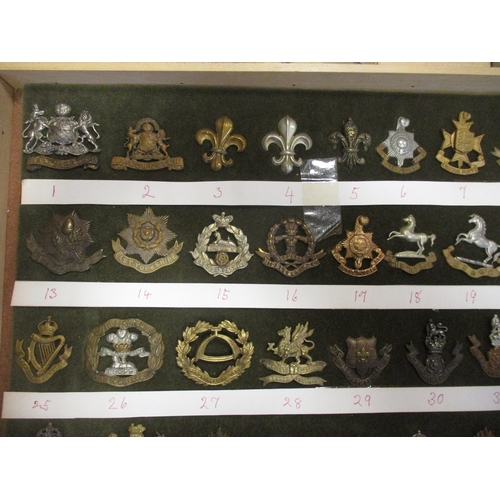 68 - Cap badge collection of mostly Infantry regiments mounted on foam in home made glass display draw, i... 