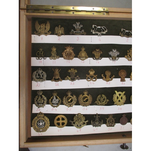 69 - Cap badge collection of mainly Yeomanry regiments mounted on foam in home made glass display draw, i... 