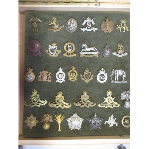 70 - Cap badge collection of mostly cavalry regiments, Corps and infantry mounted on foam in home made gl... 