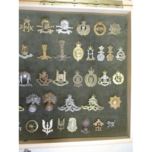 70 - Cap badge collection of mostly cavalry regiments, Corps and infantry mounted on foam in home made gl... 