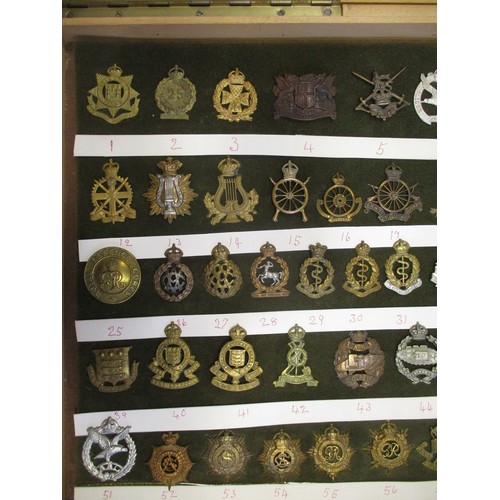 71 - Cap badge collection of mostly Corps mounted on foam in home made glass display draw, including Para... 