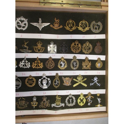 71 - Cap badge collection of mostly Corps mounted on foam in home made glass display draw, including Para... 