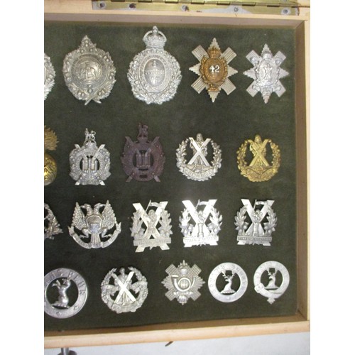 72 - Cap badge collection of Scottish Infantry regiments mounted on foam in home made glass display draw,... 