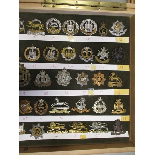 73 - Cap badge collection of Infantry regiments mounted on foam in home made glass display draw, includin... 