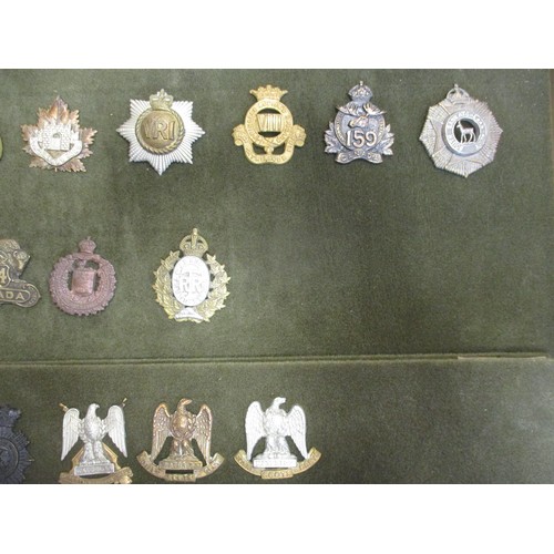 74 - Cap badge collection of mainly Canadian regiments mounted on foam in home made glass display draw, i... 