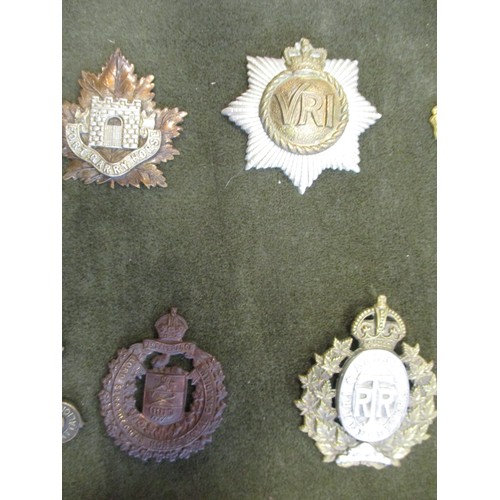 74 - Cap badge collection of mainly Canadian regiments mounted on foam in home made glass display draw, i... 