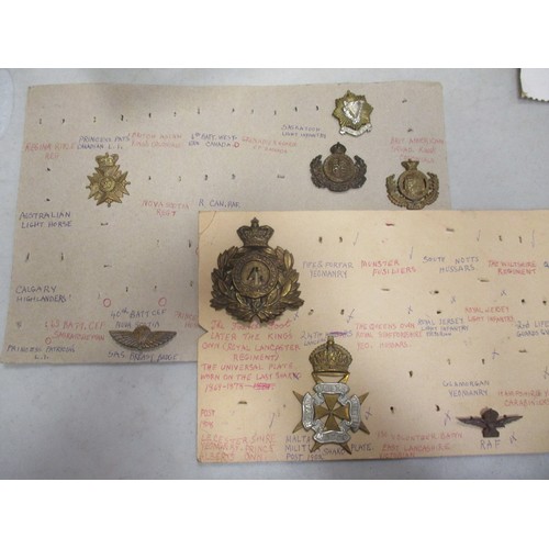 90 - Mainly badge collection including KOYLI helmet plate, cap badges, shoulder titles, sleeve badges, Fu... 