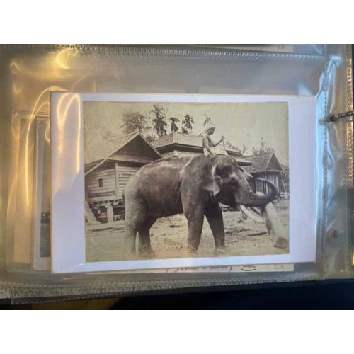 50 - Misc. coln. in a binder with good range of Thailand incl. general views, native life, temples etc. p... 