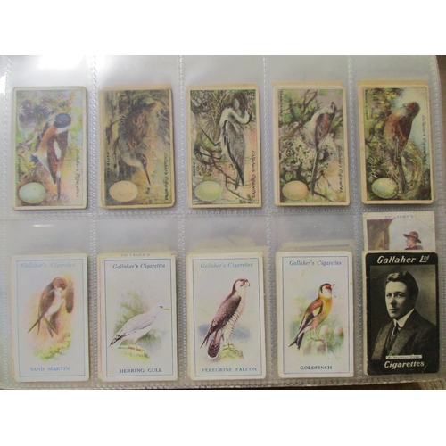 Lot 33        