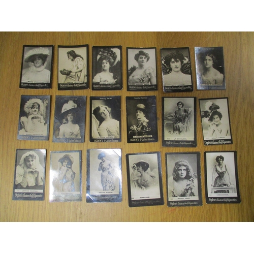 Lot 40        