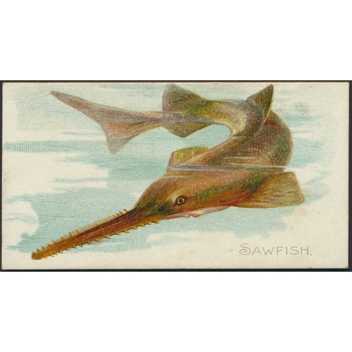Lot 54        