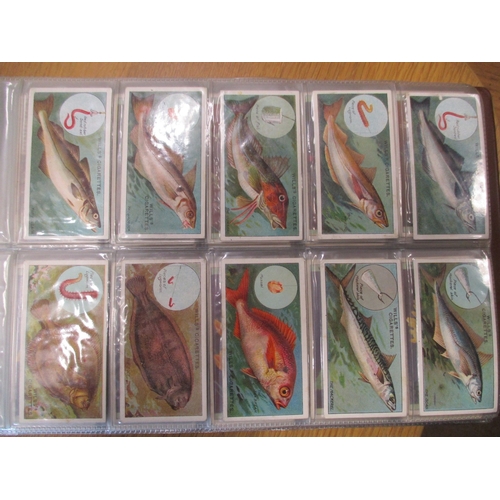 1 - Collection in 4 albums and plastic sleeves with part sets including L&B The Thames (37), Ogdens Boxe... 