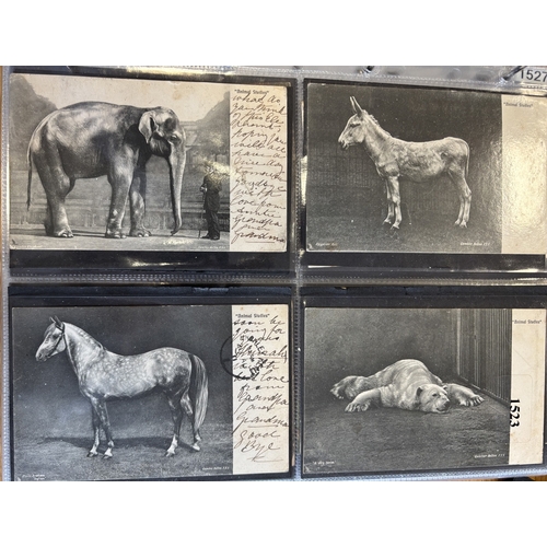 104 - Publishers. Tuck Pub. Coln. in 2 modern albums with slipcases in sets/part sets ranging between 842-... 