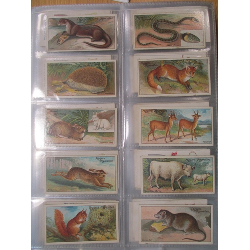 18 - Collection in 10 albums with complete sets including Ogdens A.B.C. of Sport, Ocean Greyhounds, Playe... 