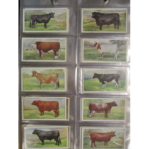 18 - Collection in 10 albums with complete sets including Ogdens A.B.C. of Sport, Ocean Greyhounds, Playe... 