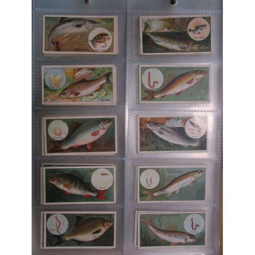 18 - Collection in 10 albums with complete sets including Ogdens A.B.C. of Sport, Ocean Greyhounds, Playe... 