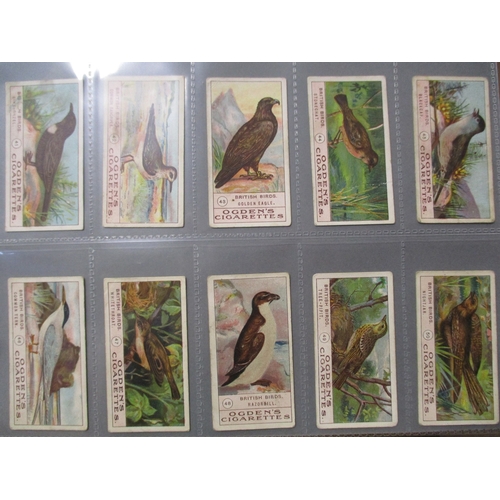 20 - Bird themed collection in 2 albums including Imperial Tobacco Co British Birds (49), Ogdens Birds Eg... 