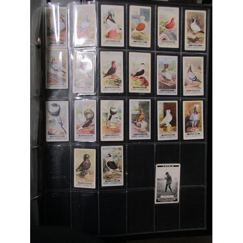 3 - Collection in 1 large album and 12 regular albums with complete sets including Ogdens Birds Eggs, Br... 