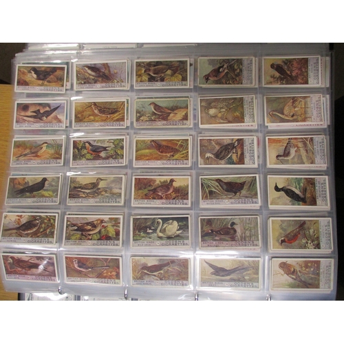 3 - Collection in 1 large album and 12 regular albums with complete sets including Ogdens Birds Eggs, Br... 