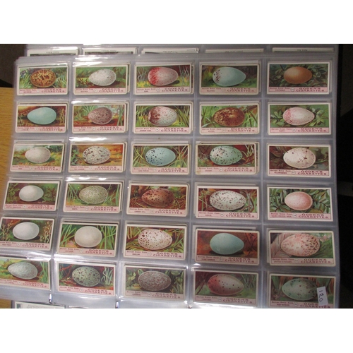 3 - Collection in 1 large album and 12 regular albums with complete sets including Ogdens Birds Eggs, Br... 