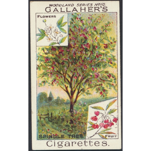 30 - Gallaher. Complete set in plastic sleeves with Woodland Trees Series, generally good. Cat. £500. (Se... 