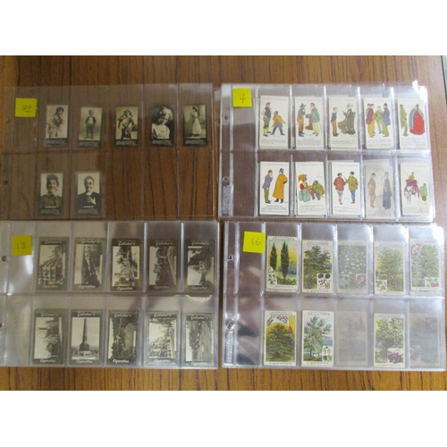Lot 10        