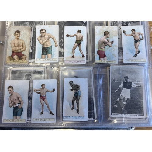 Lot 19        