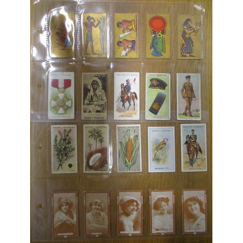 Lot 7         