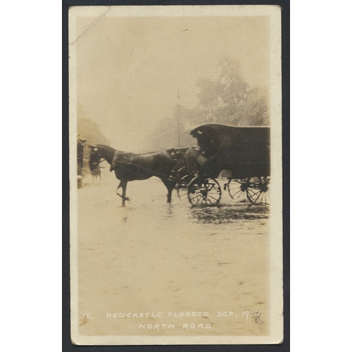 Lot 77        