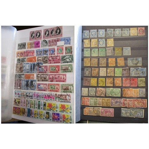 Lot 22        