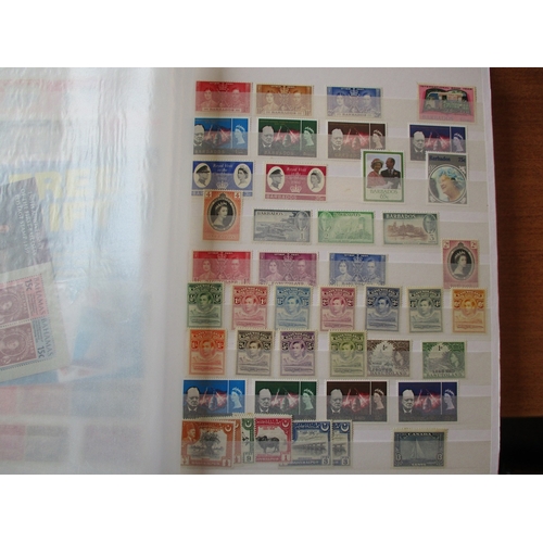 Lot 24        