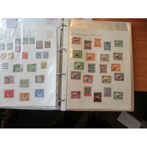 Lot 29        