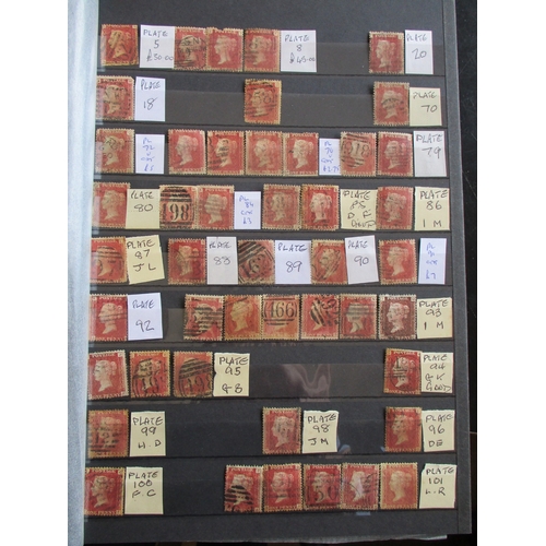 Lot 30        