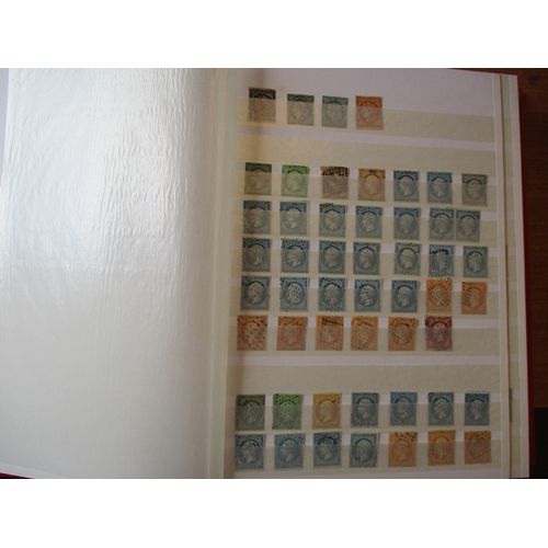 Lot 33        